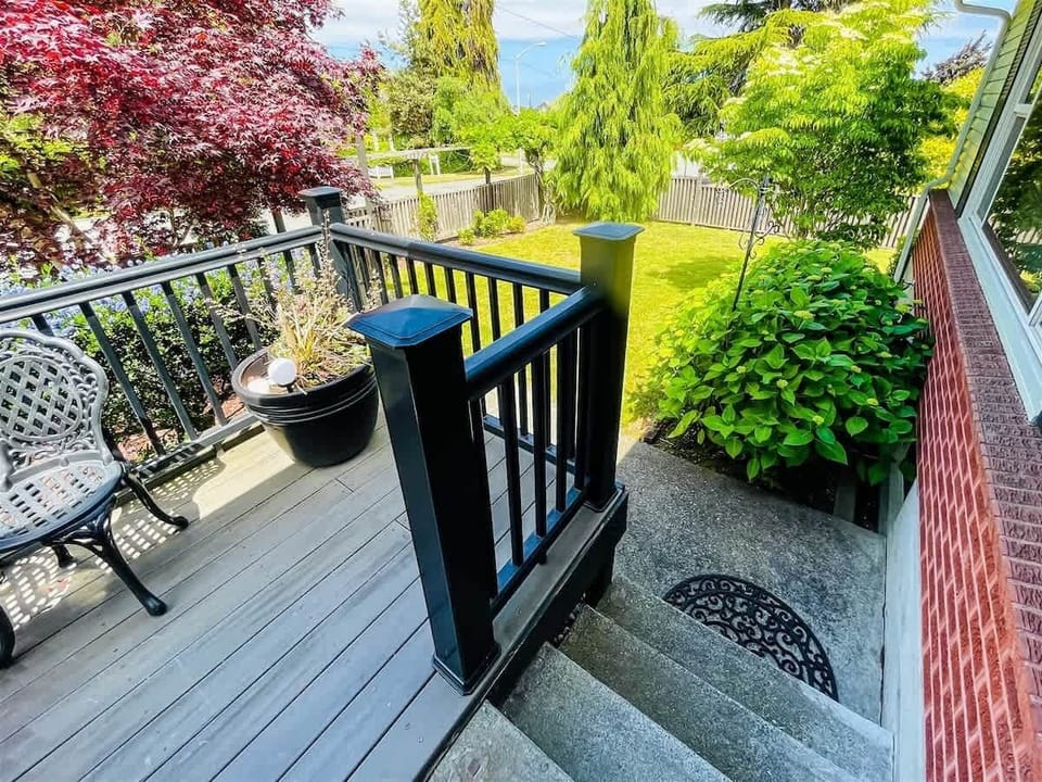 Back yard