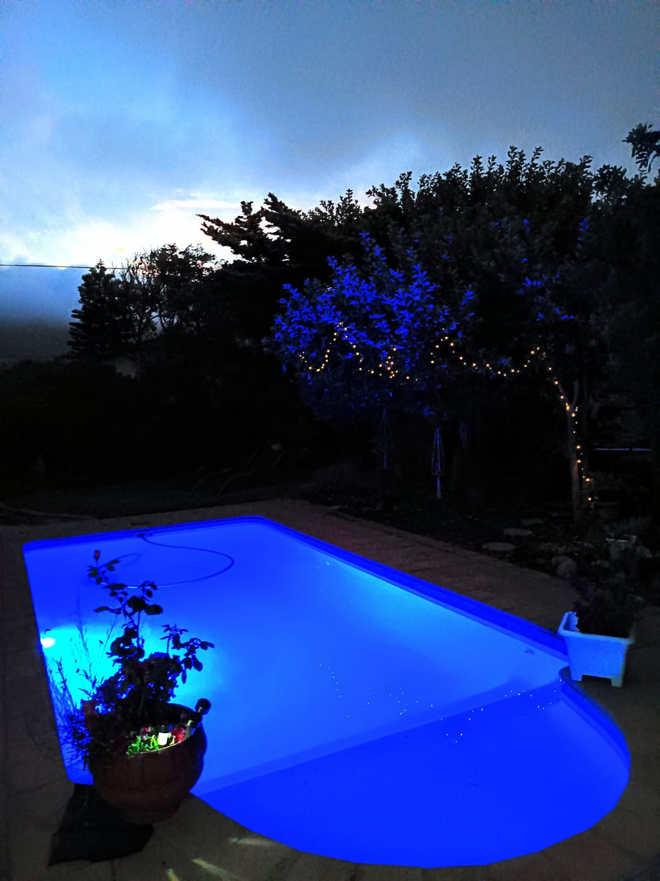 The pool illuminated at night 