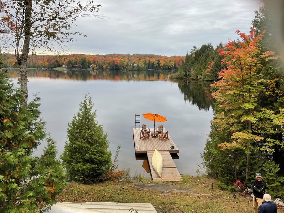 Fall colours.. absolutely superb!