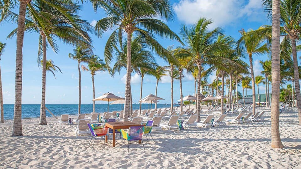 Relax under palms on Cancun's pristine beach at Garza Blanca.