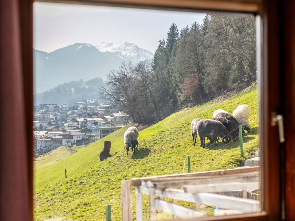 View from Holiday Home [summer]