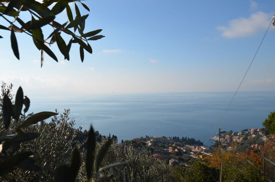 Sea view
