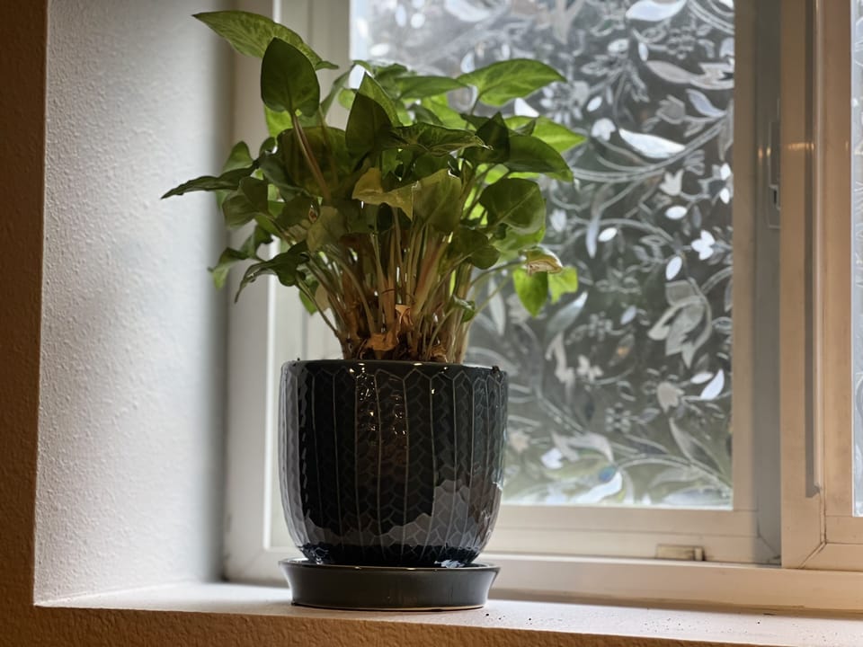 Interior detail