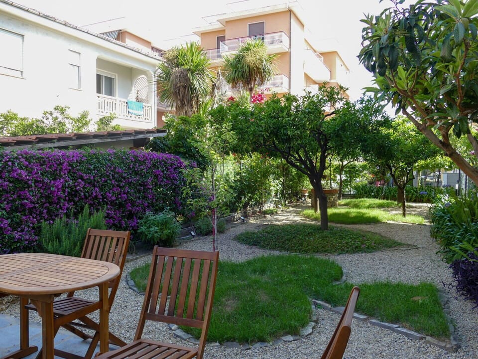 Plant, Property, Building, Window, Flower, Table, Grass, Outdoor Furniture, Tree, House