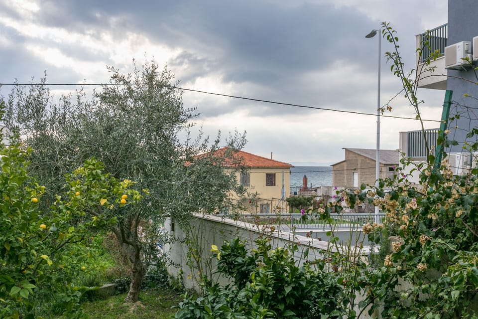 Terrace 1