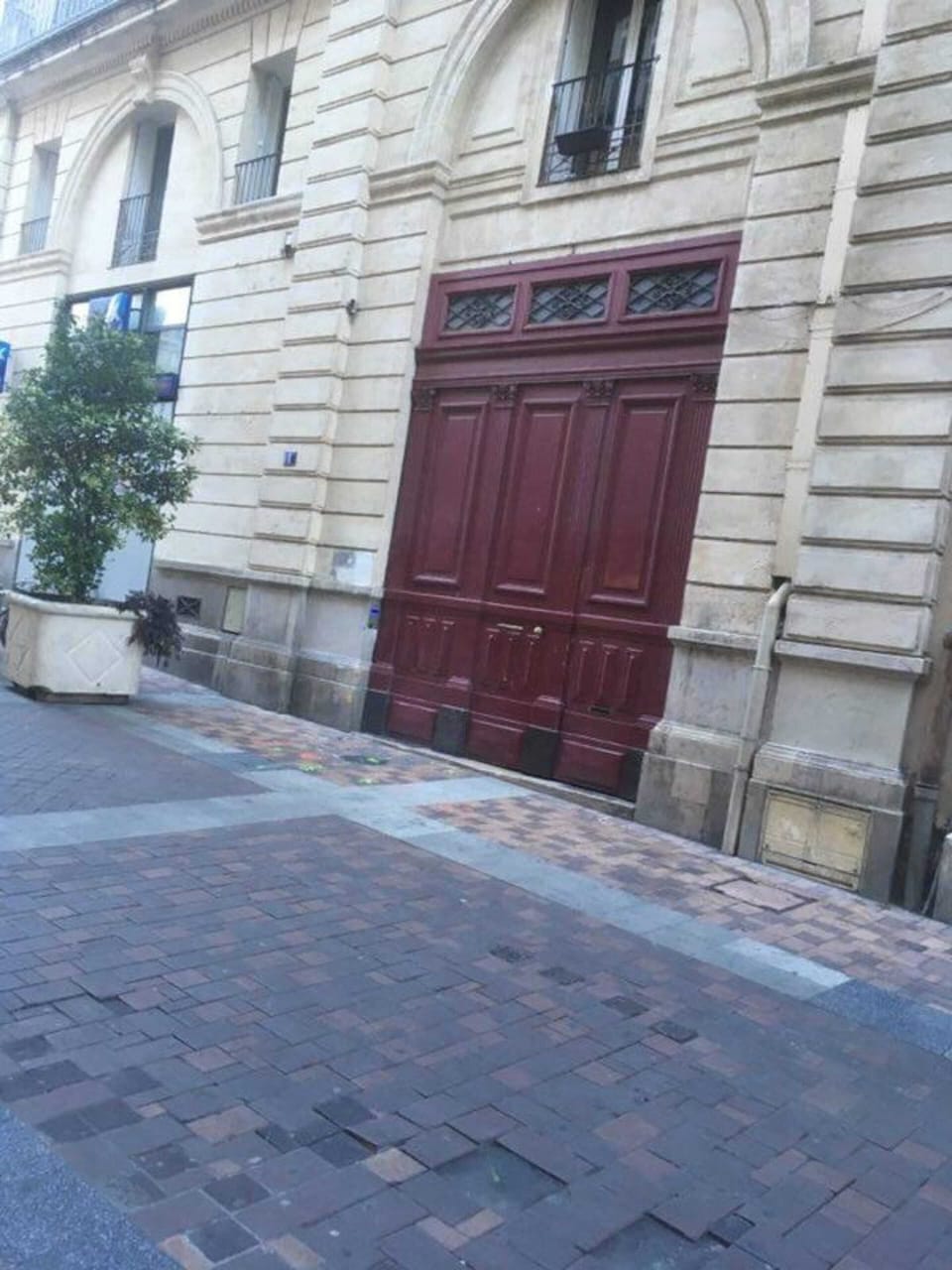 Front view