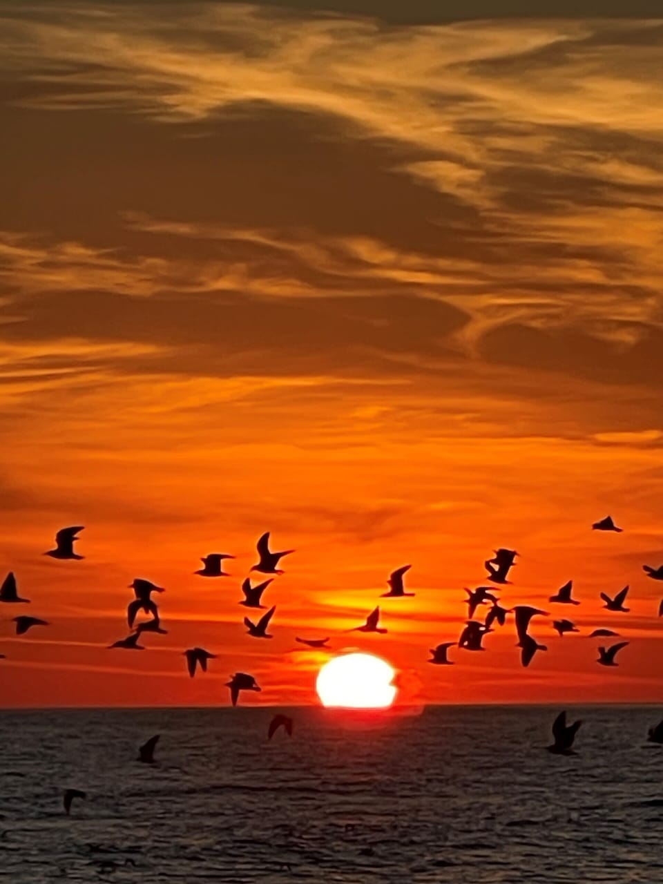 beautiful sunsets