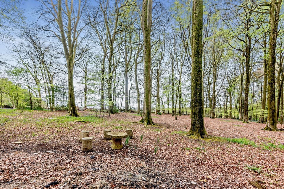 Keepers Stable Woodland - StayCotswold