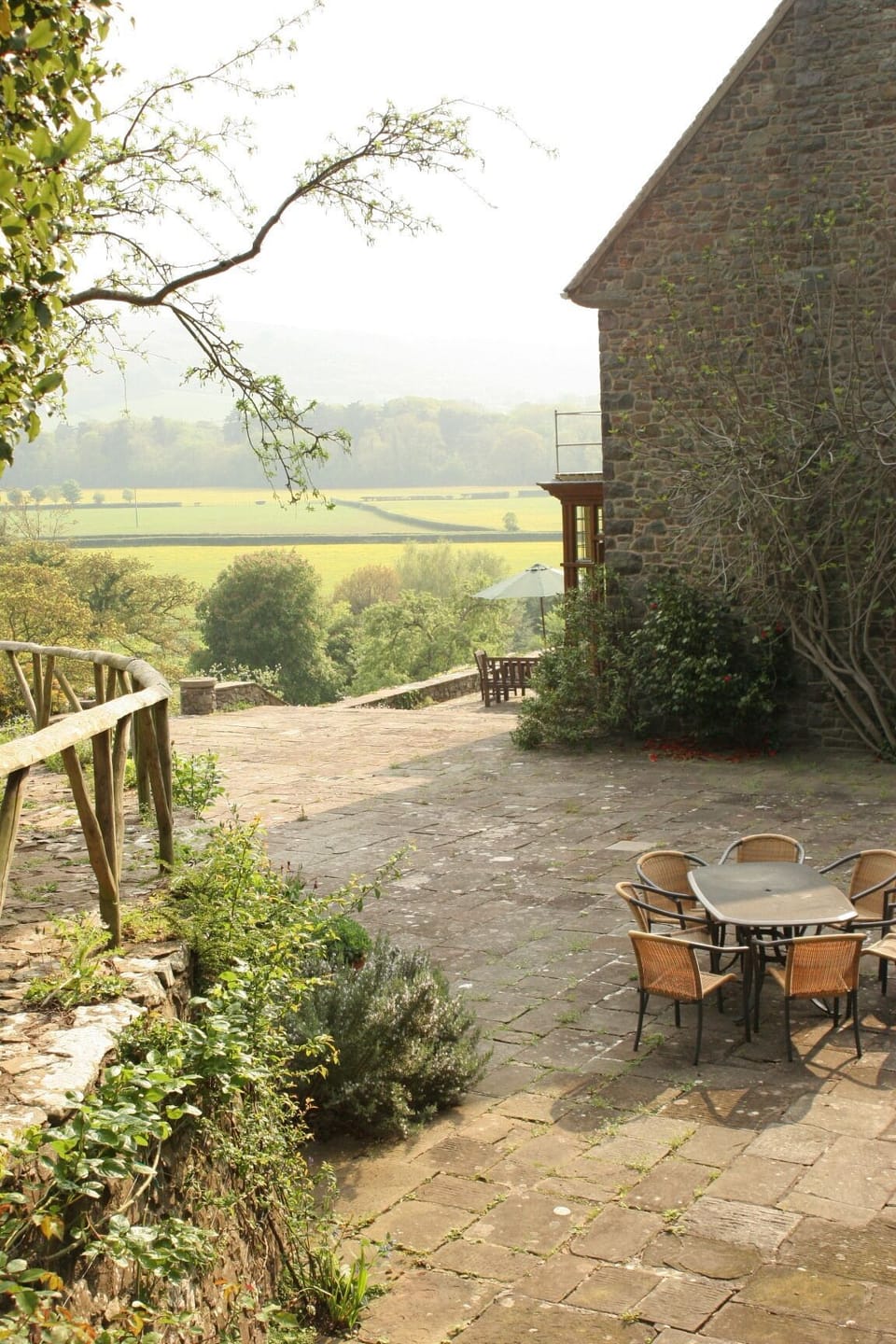 Back Garden