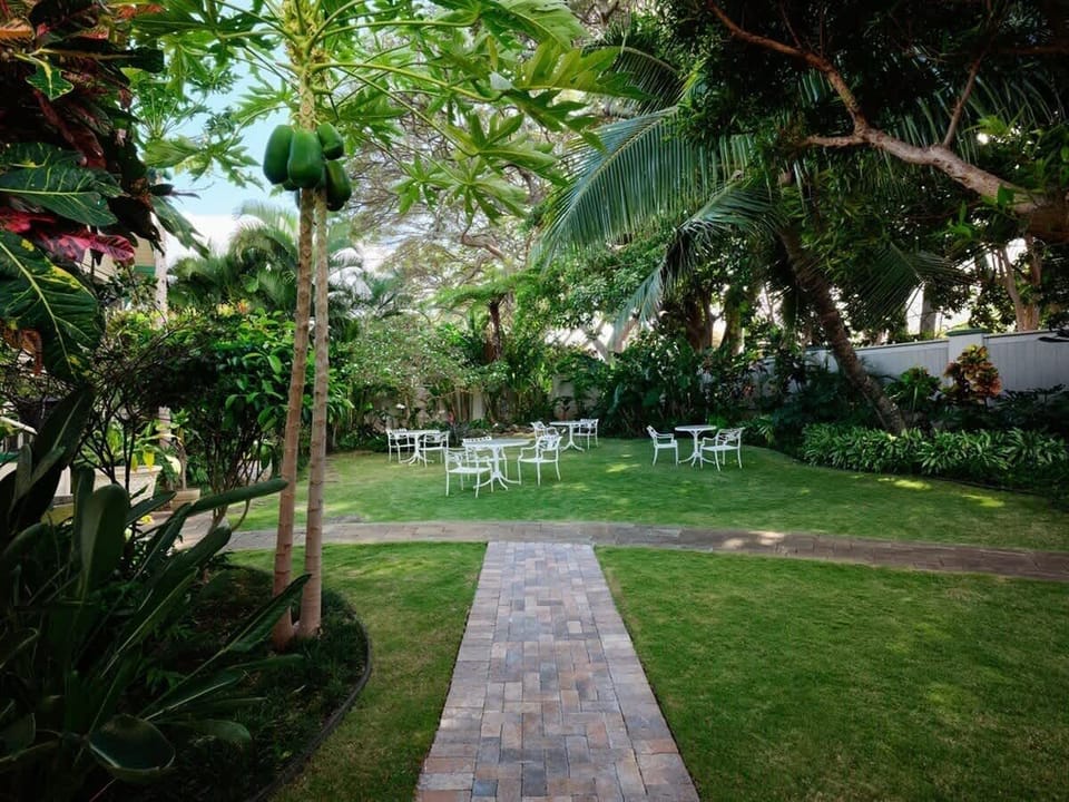 Find your peace in our lush garden. Enjoy the serene setting & tropical ambiance. Perfect for relaxation.
