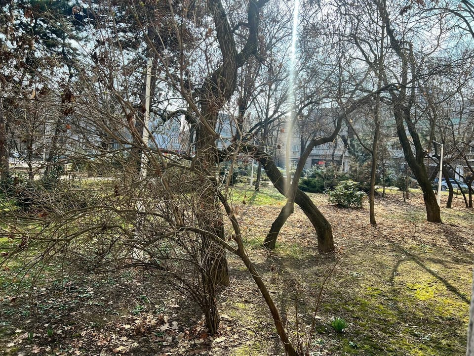 Park