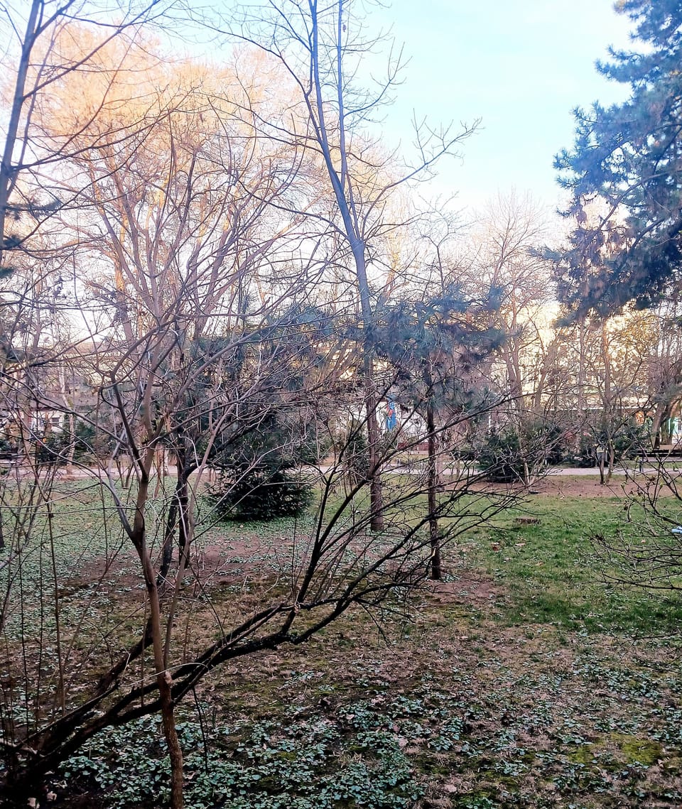 Park