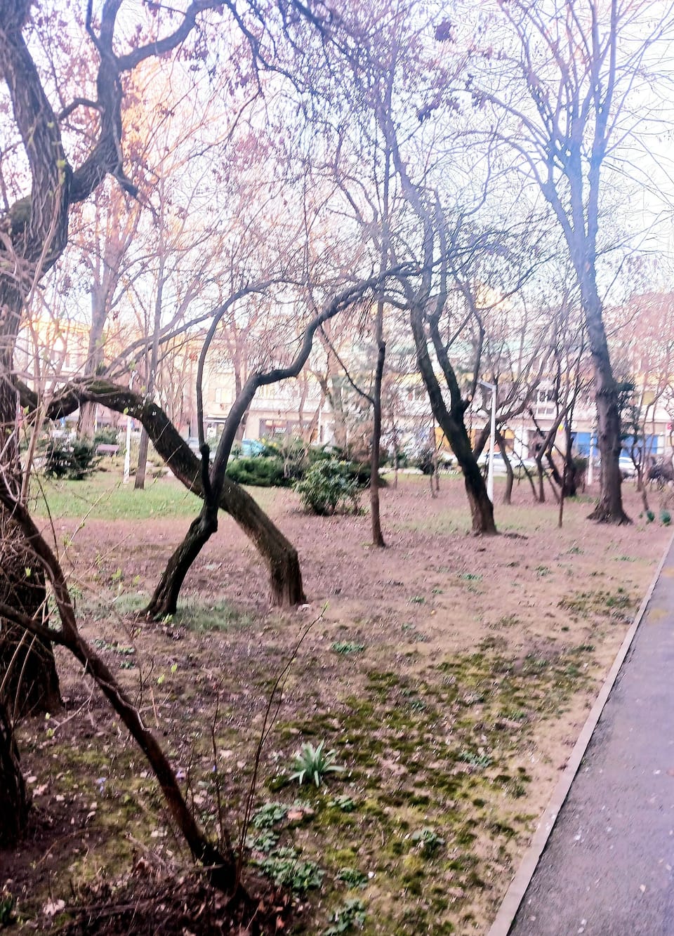 Park