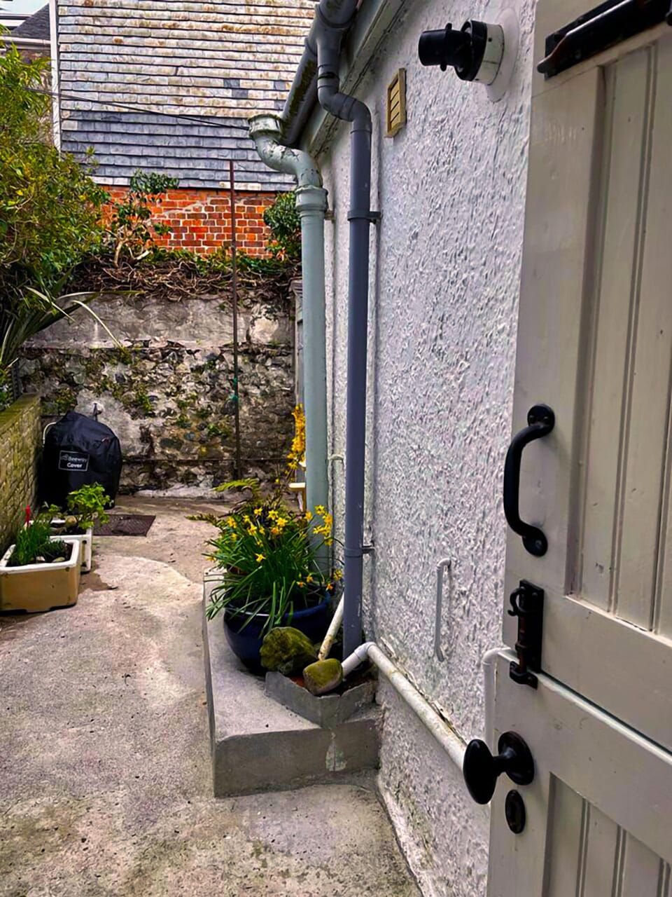 Backyard2