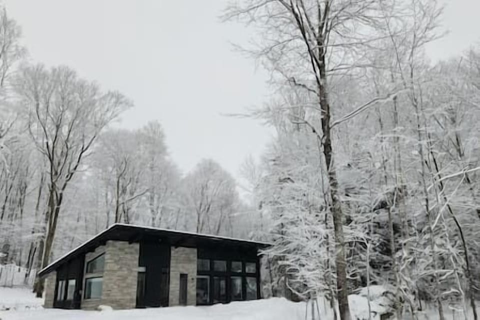 Chalet FEU_Hiver