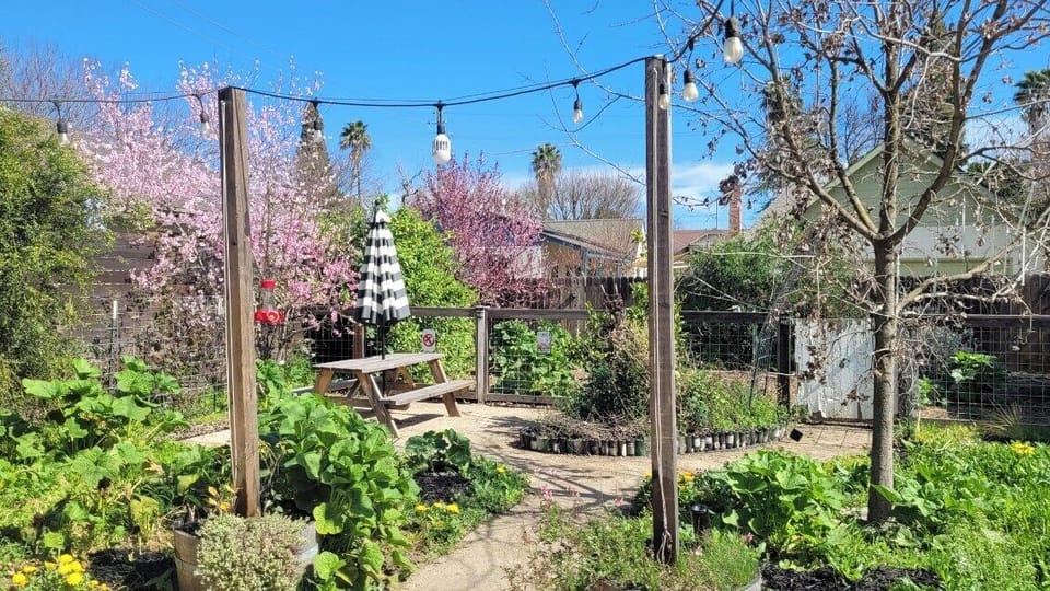 Escape to our spacious backyard oasis, where a charming patio, picnic table, and dedicated pet area await. Surround yourself with the beauty of native plants and fruit trees in our flourishing garden. A perfect blend of nature and comfort! 🌿🍑🐾