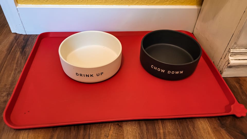 Pamper your furry friend! We've got your pet covered with complimentary food and water bowls. A thoughtful touch for a tail-wagging stay. 🐾🍽️💦 #PetFriendlyPerks