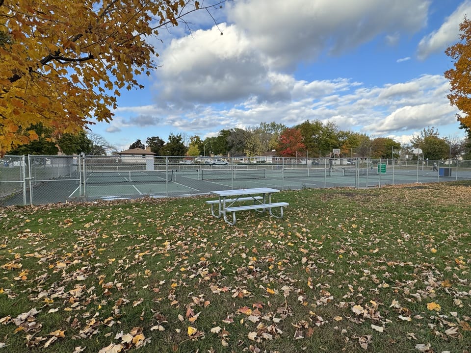 Pickleball Anyone?