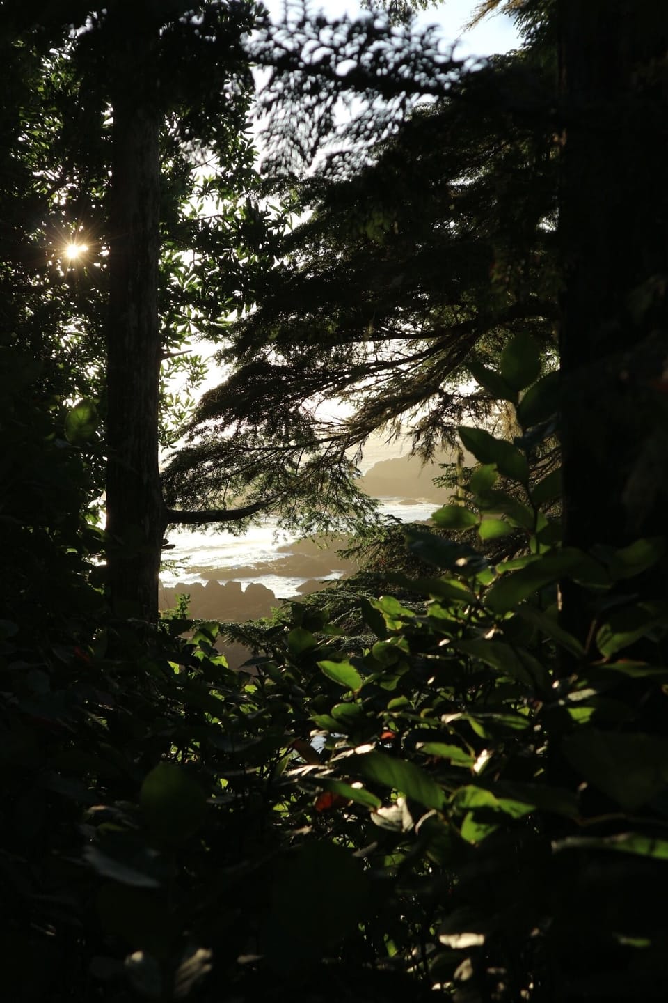 Wild Pacific Trail close to our house