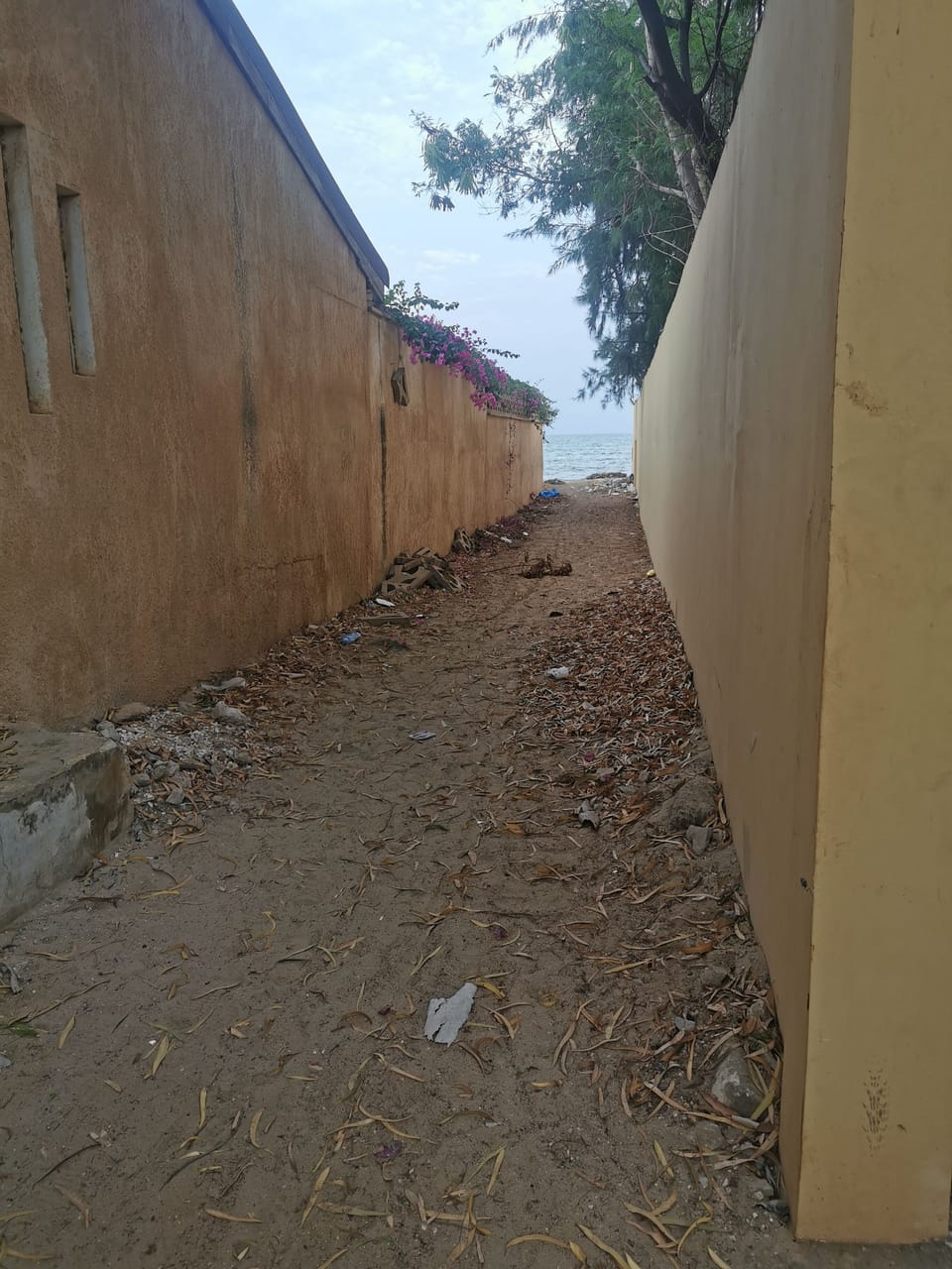 Property grounds