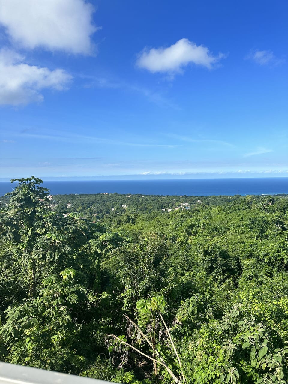 View from property