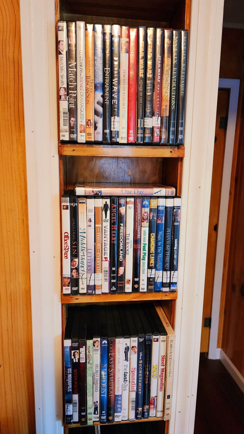 Delight in our curated library of over 100 DVDs.
