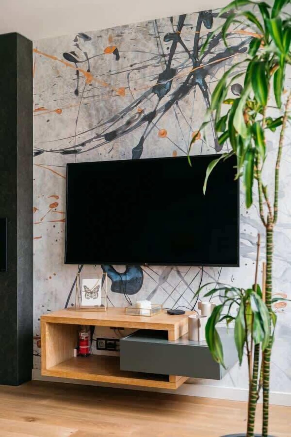 TV and multimedia