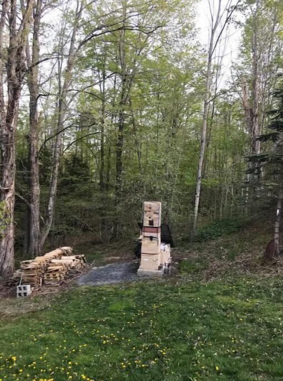 Wood fired kin in side yard