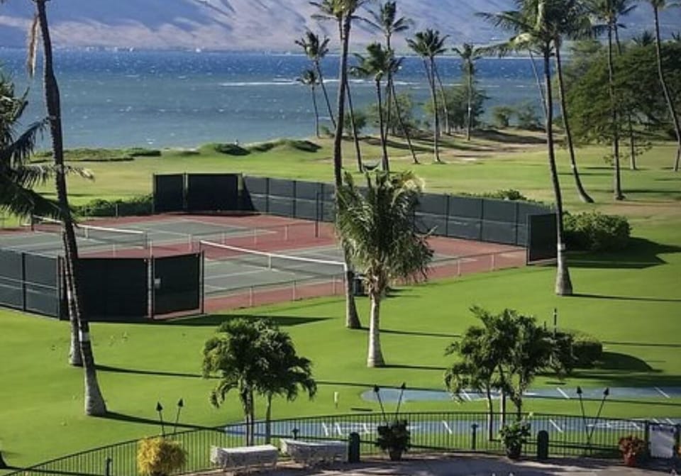 Sport court