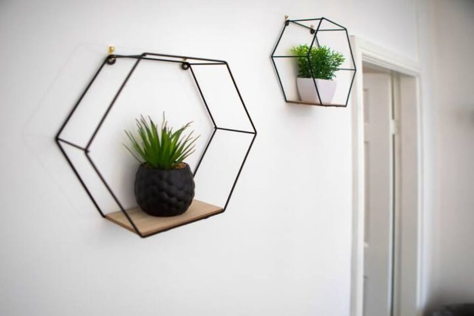 Plants/Decoration