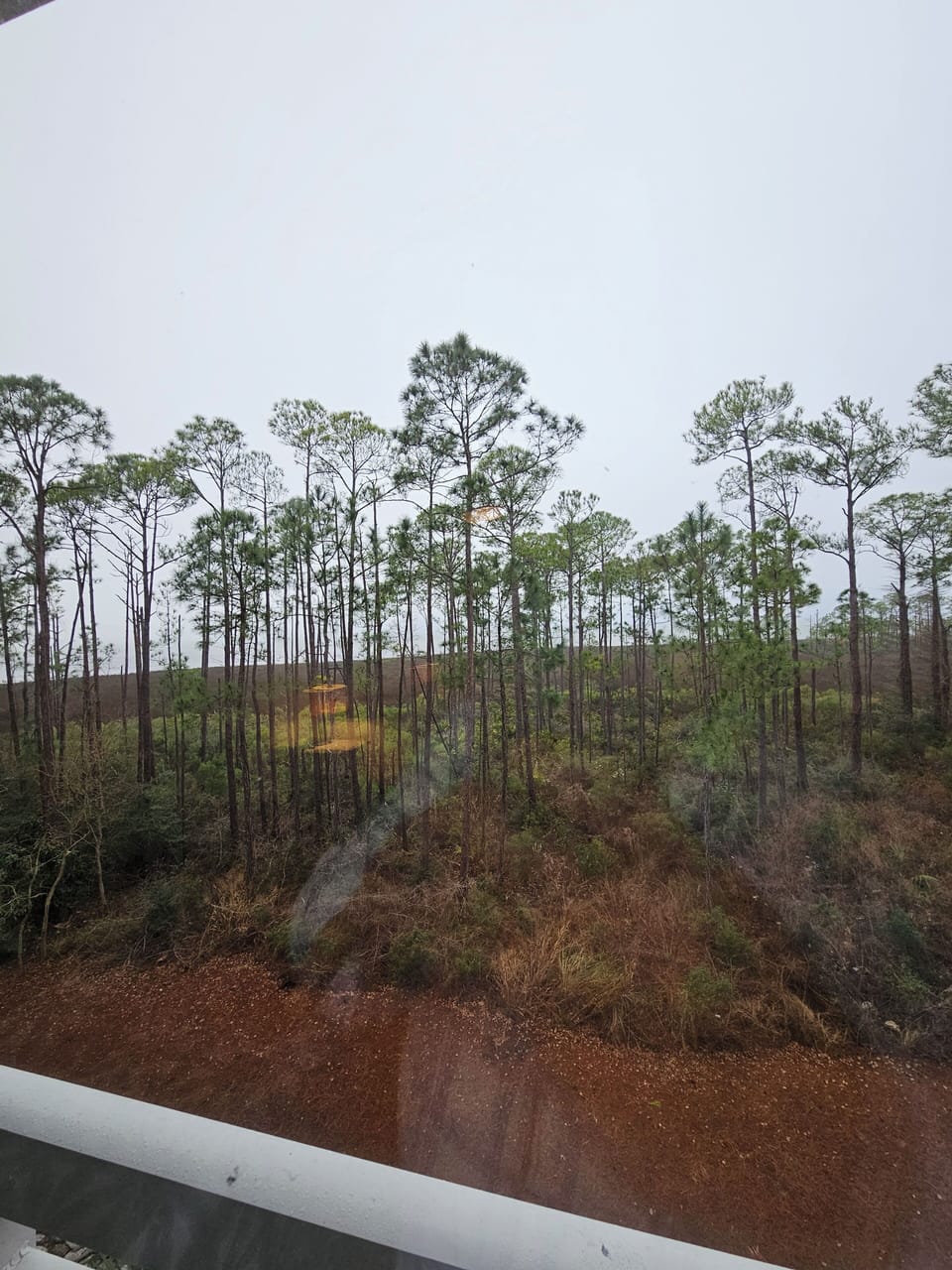 View from property