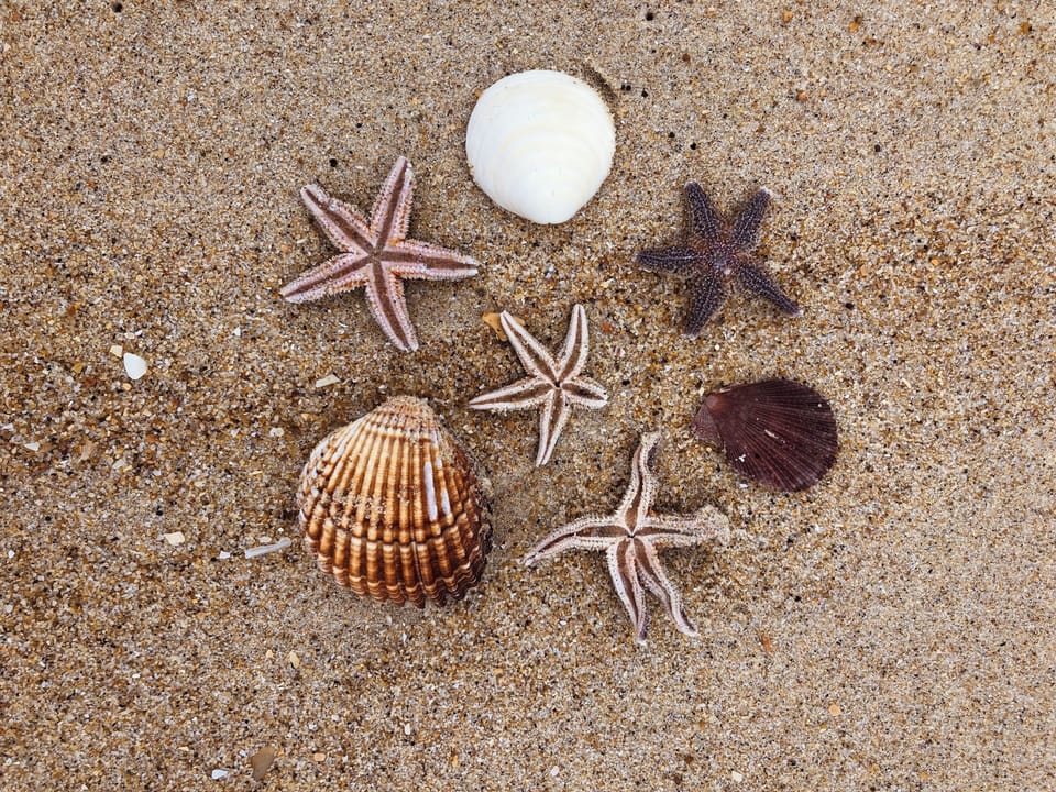 Miscellaneous