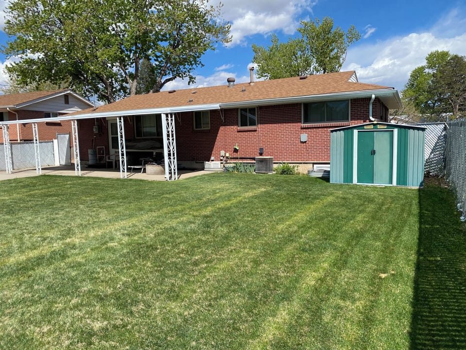 Back yard