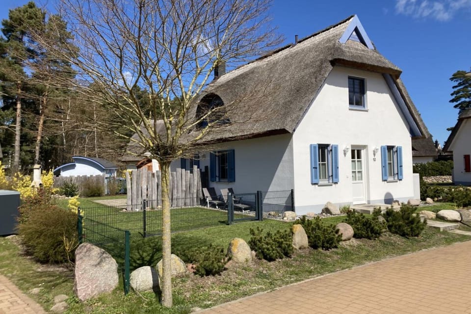 View from Holiday Home [summer]