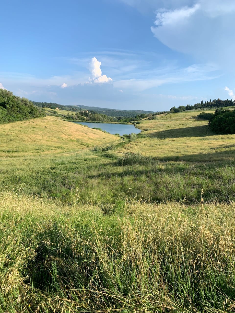 700 acres of respite