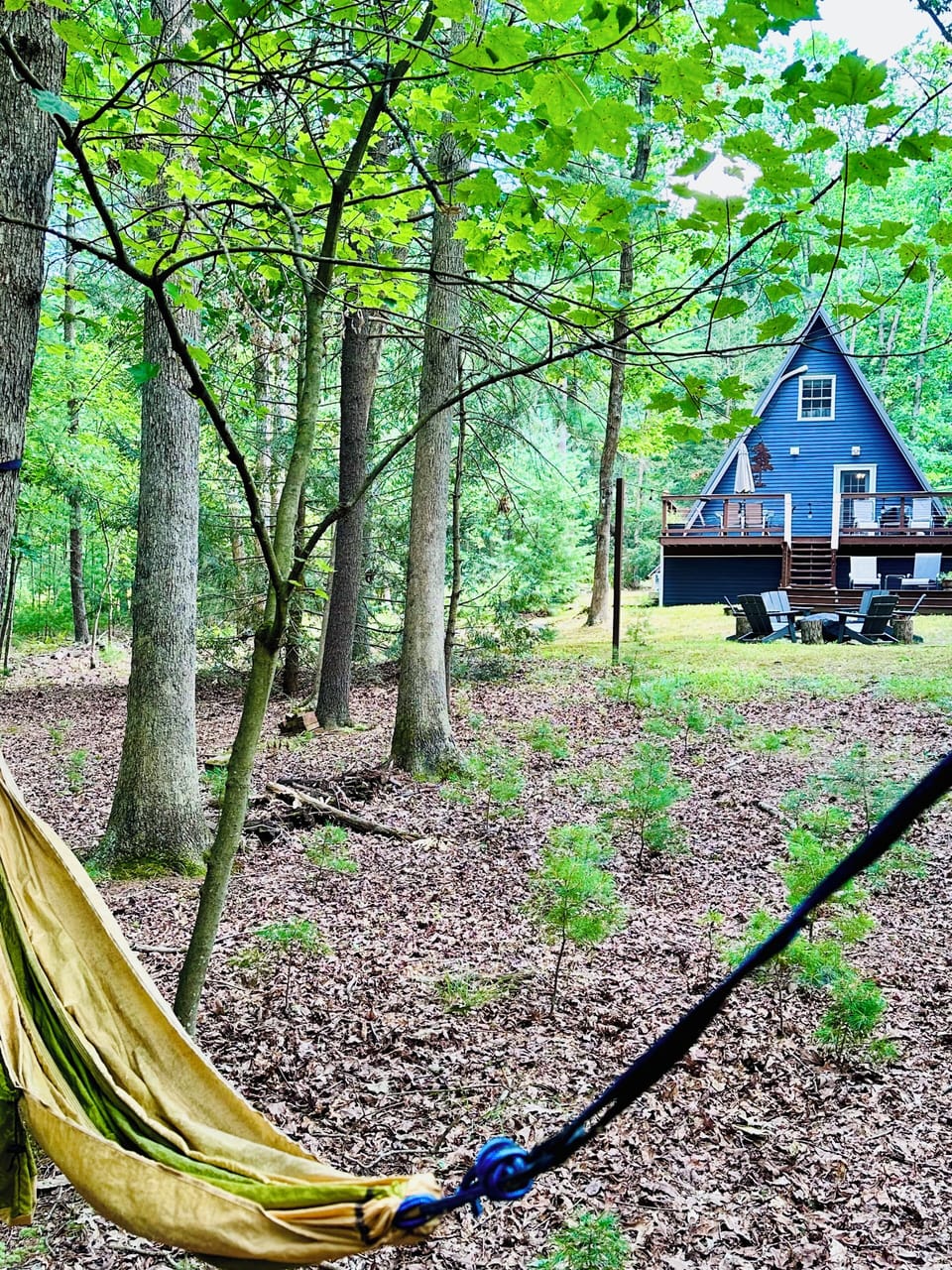 Take a break in the hammock taking in the forest views