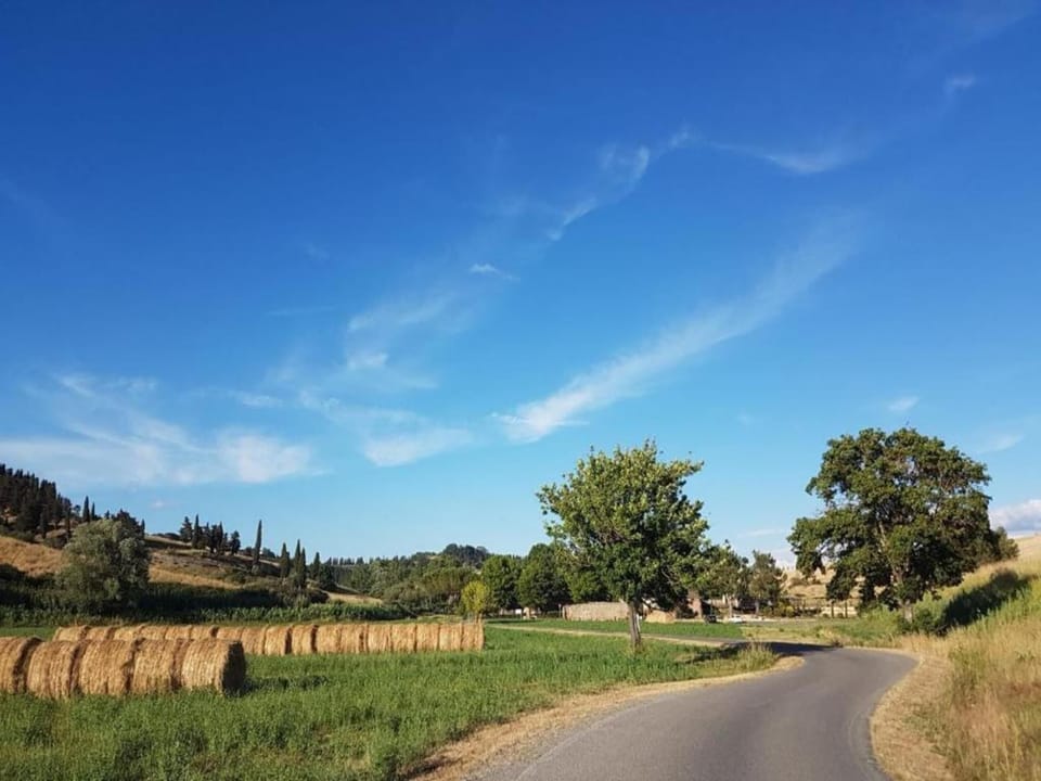 Surroundings [summer] (1-5 km)