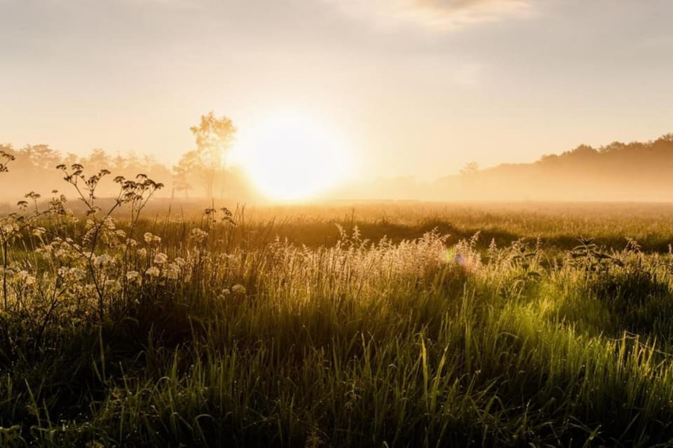 Surroundings [summer] (1-5 km)