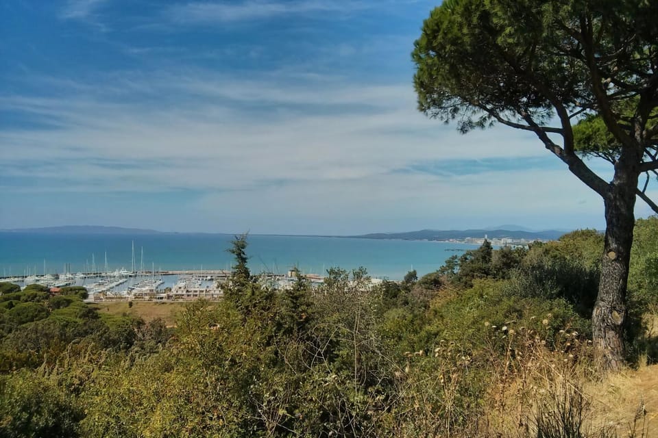 Surroundings [summer] (1-5 km)