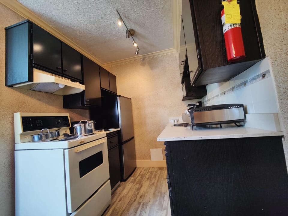 One Bedroom Apartment with Robson View image 3