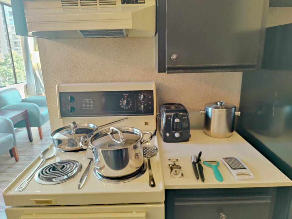 One Bedroom Apartment with Robson View image 6