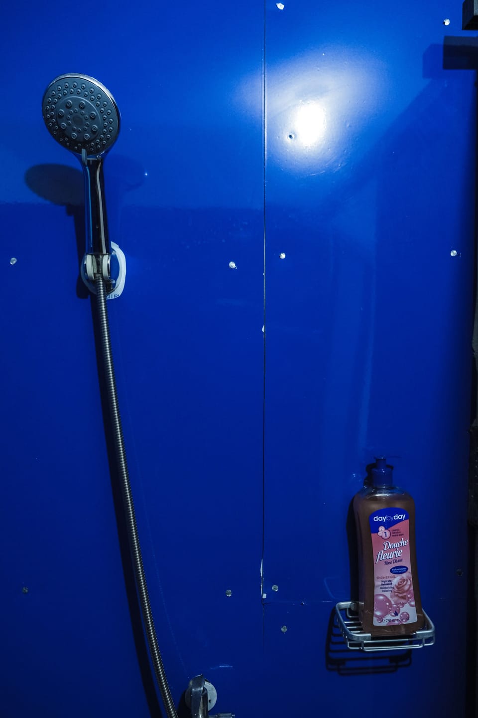 Hand-held showerhead