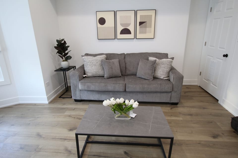 Queen Sofa Bed 