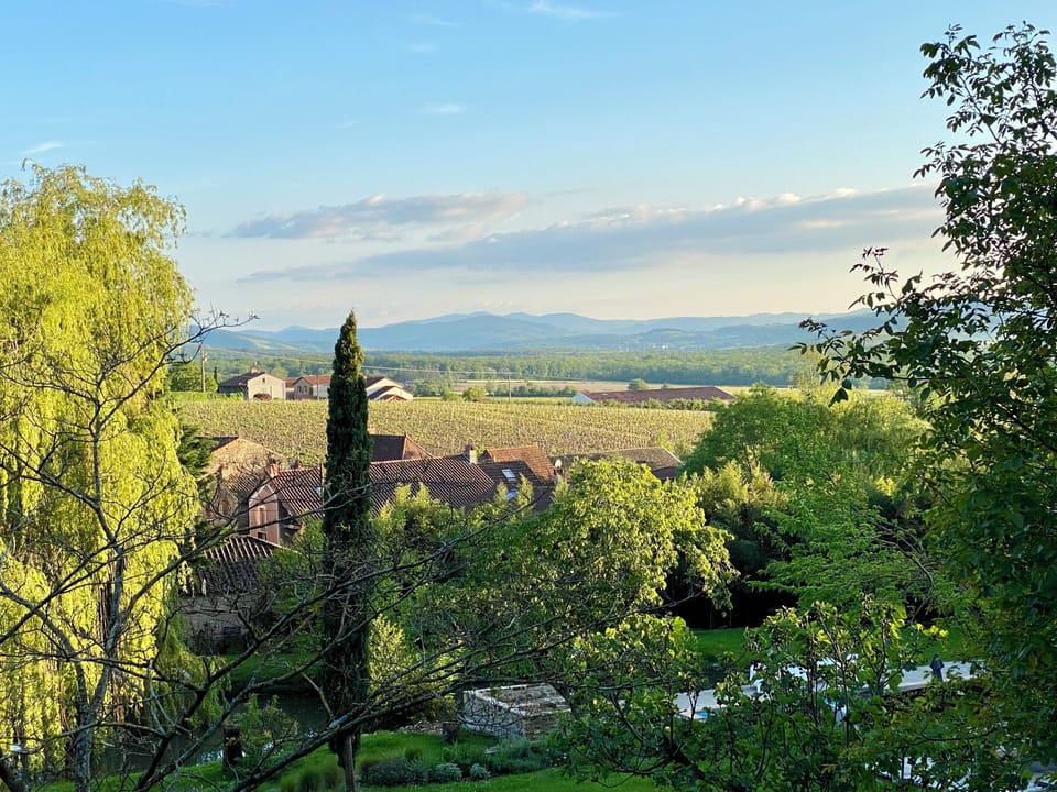 View from the back garden over the hills and vineyards