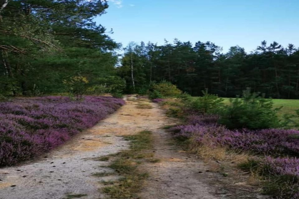 Surroundings [summer] (1-5 km)