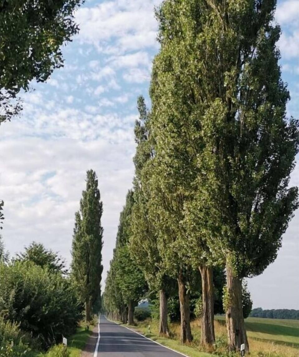 Surroundings [summer] (1-5 km)