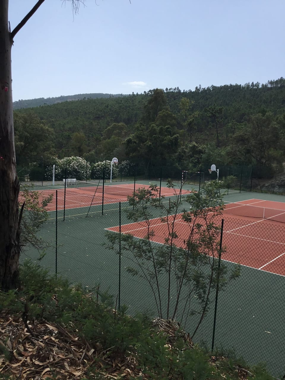 Sport court
