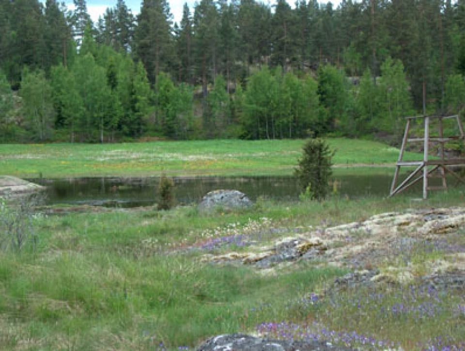 Maybe you can see a moose ?!