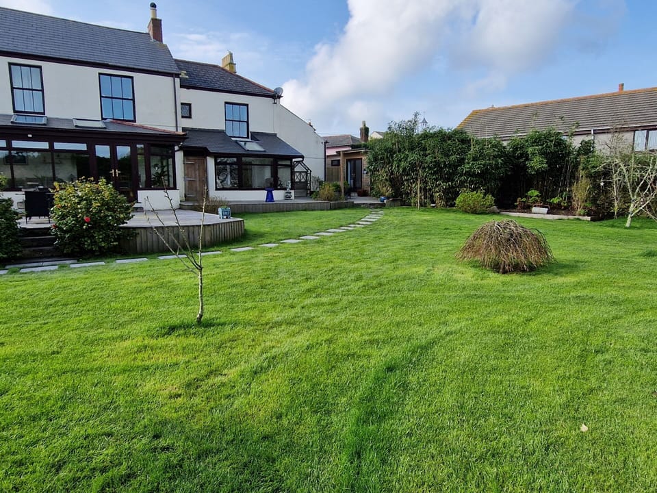 Back Garden