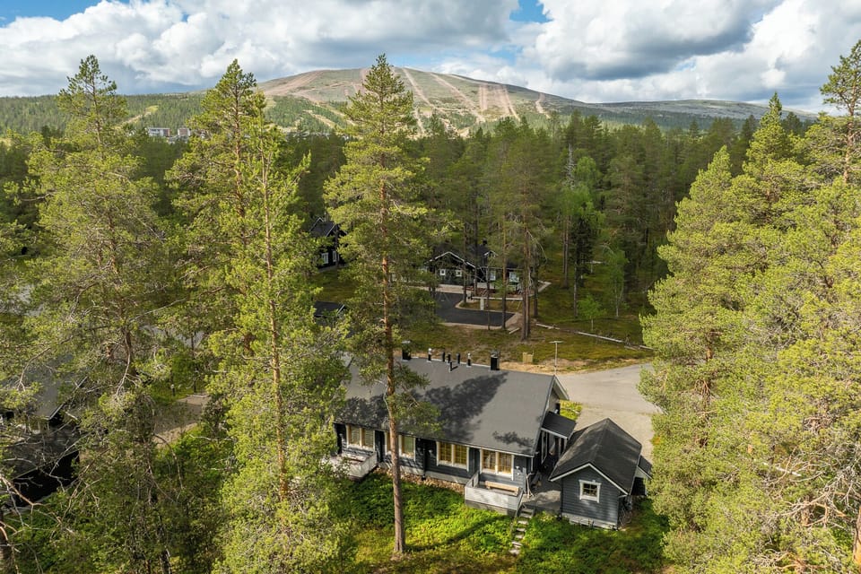 View to Ylläs in summer